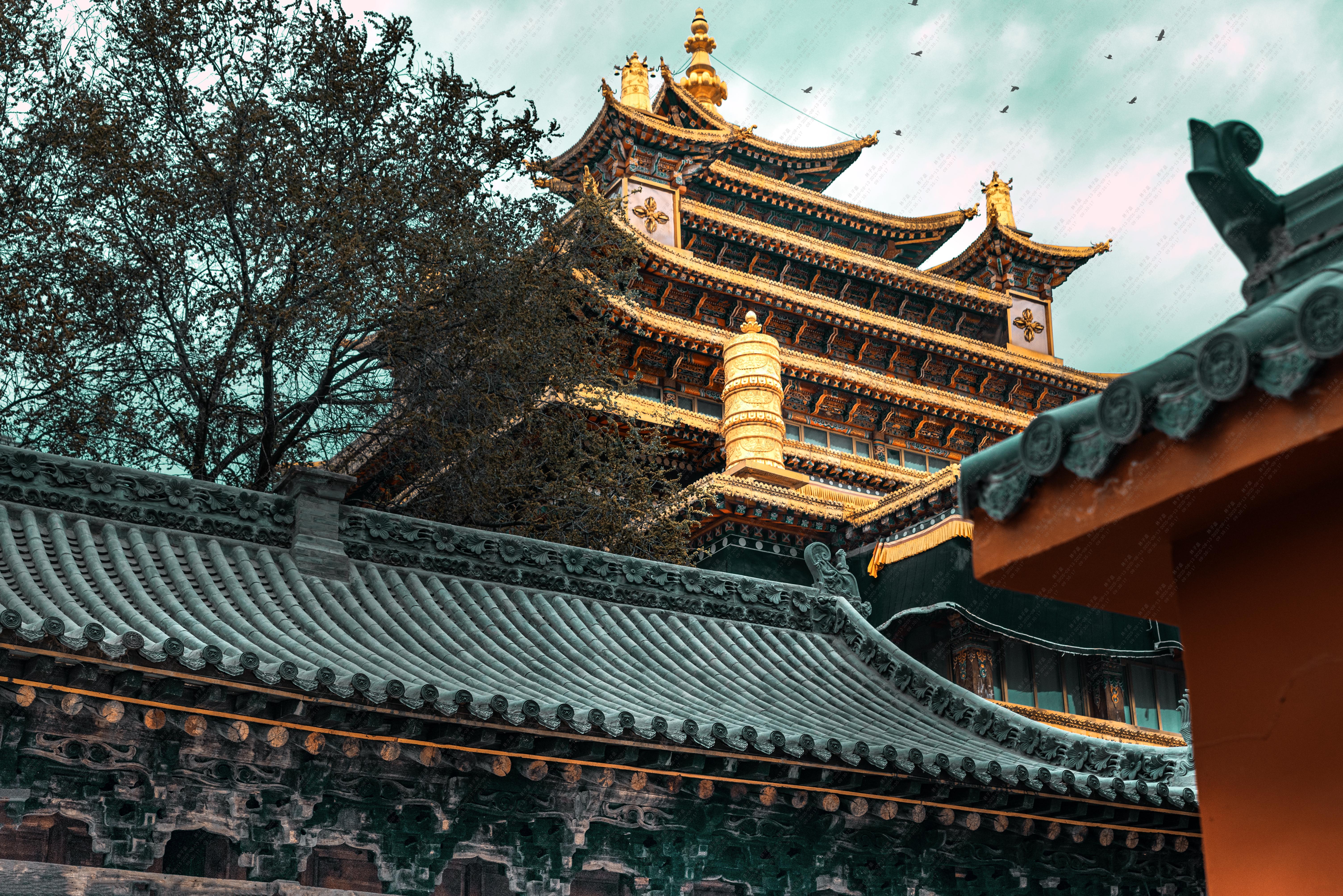 hongjuesishijuezhongguo.jpg