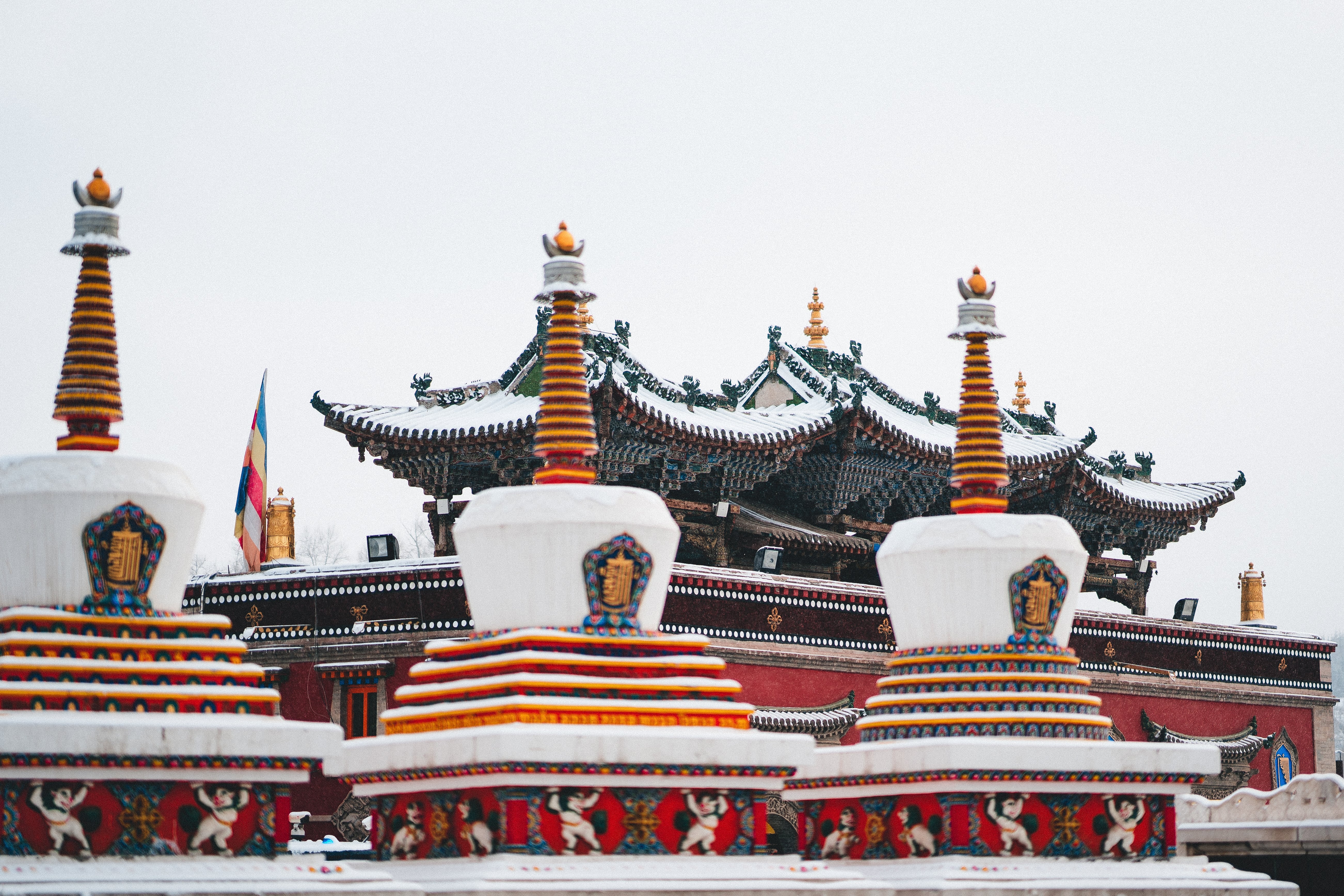 taersixuejingshijuezhongguomin.png